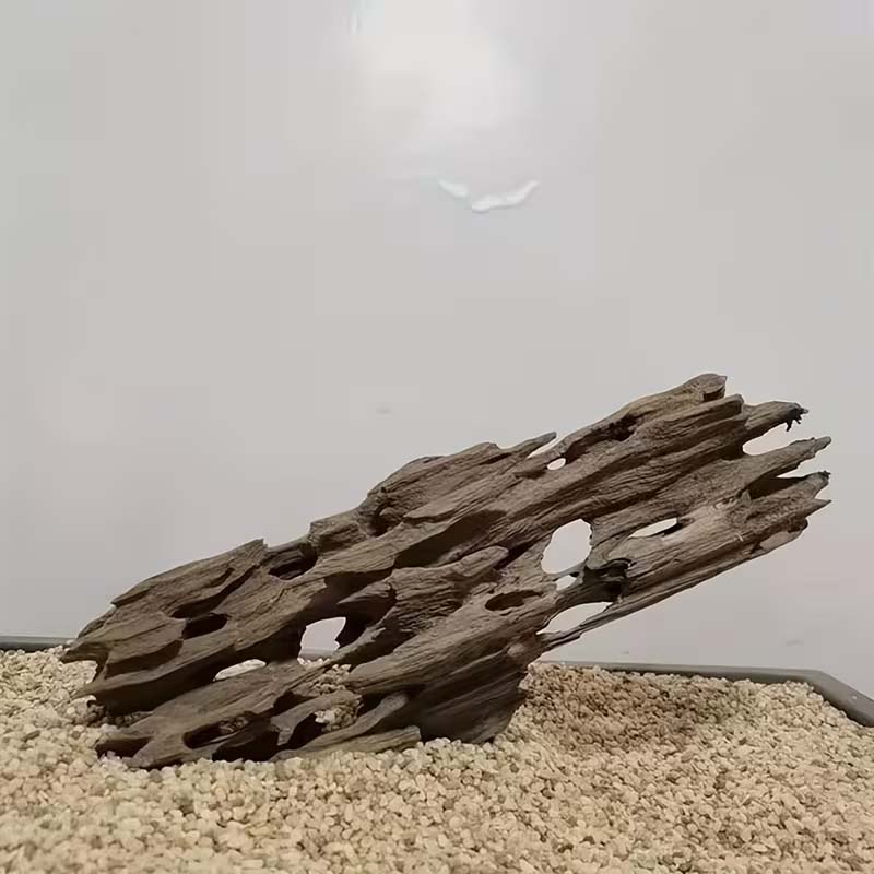 Aquarium Marine Rock - Karidesler için Doğal Delikli, Akvaryum Dekorasyonu,