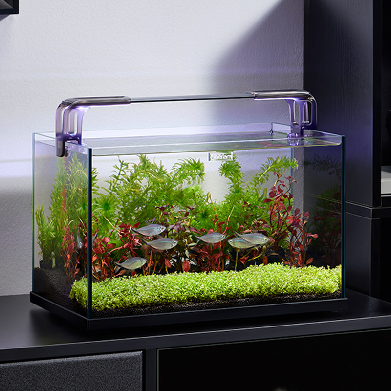Marine Aquarium Kit - Cherlam Fabrikası Toptan 20 Galon Küçük