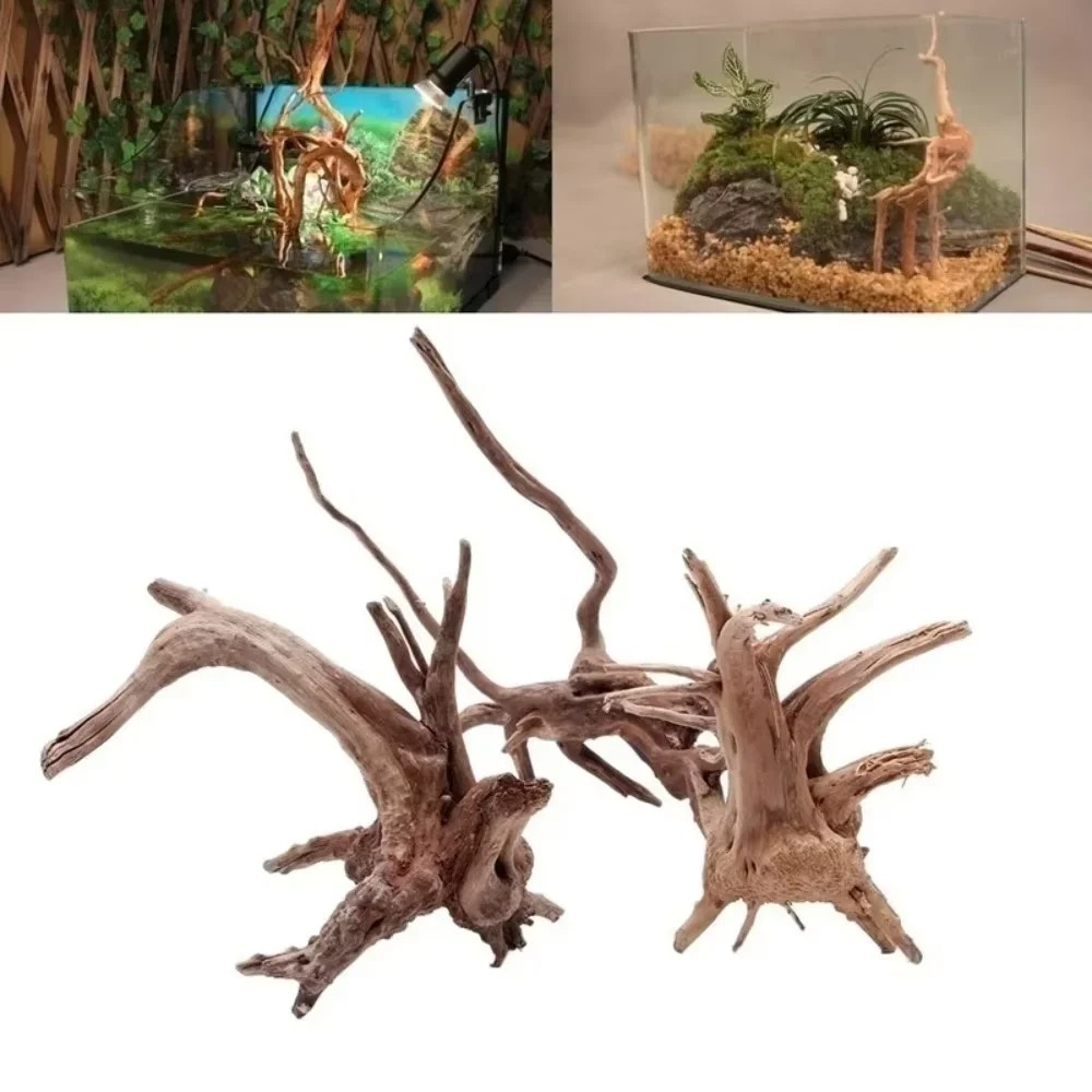Aquarium Marine Fish - 15-20CM Doğal Kök Ağacı Akvaryum Dekoru
