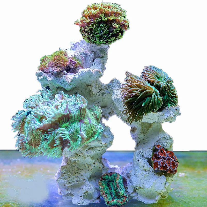 Aquarium Marine Rock - Deniz akvaryum taş Reef mercan tankı