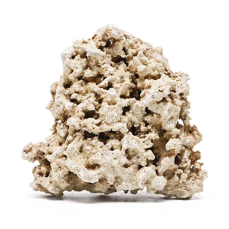 Aquarium Marine Rock - Akvaryum Aquascaping malzemeleri için Vastocean endonezya