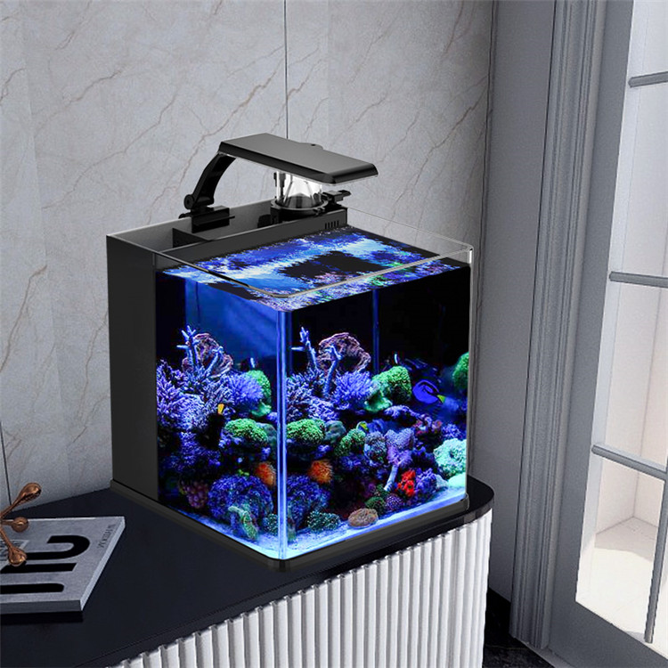 Aquarium Marine Clearwater - Ultra Şeffaf Cam Mini Tuzlu Su