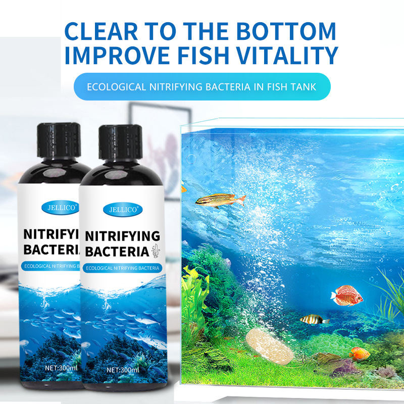 Aquarium Marine Clearwater - 300ml Nitrifikasyon Bakterileri Akvaryum Su Arıtıcıları