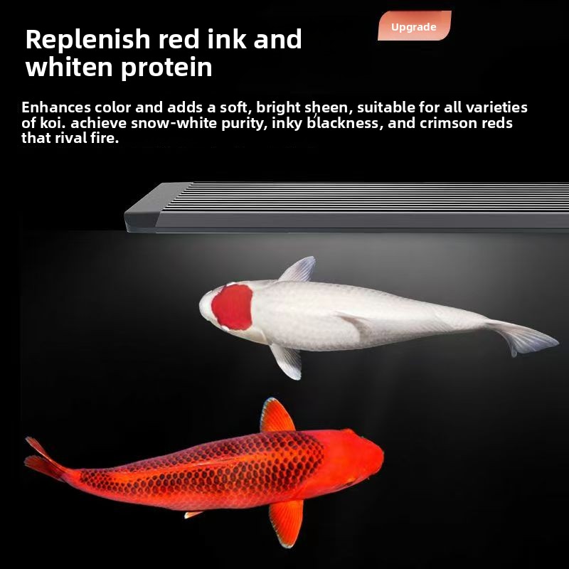 Aquarium Marine Clearwater - Balık Tankı için Deniz Aydınlatma Sistemli