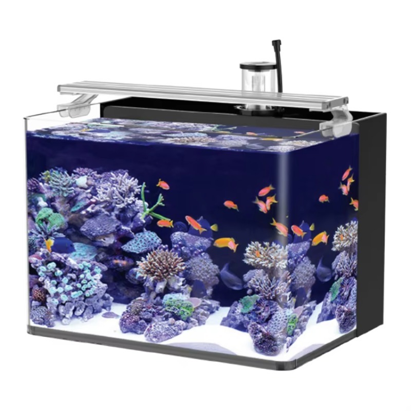 Marine Aquarium Kit - Kavisli Tuzlu Su Deniz Balığı Akvaryumu,