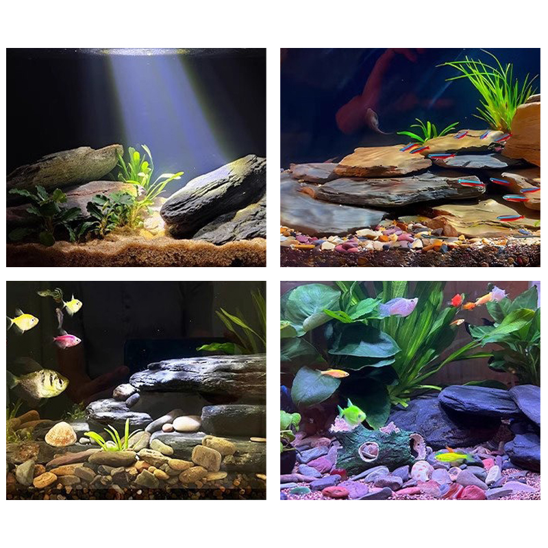 500/1000g Balık Tankı Peyzaj T - Aquarium Marine Fish incelemesi ve fiyatı