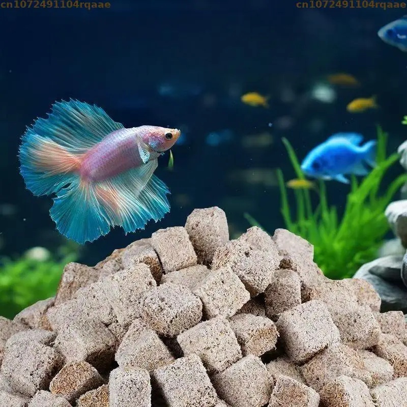 Doğal Dondurarak Kurutulmuş Ka - Marine Aquarium Cube incelemesi ve fiyatı
