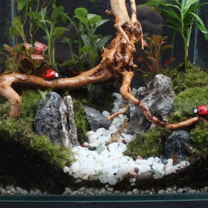 Doğal ağaç gövdesi Driftwood a - Aquarium Marine Rock incelemesi ve fiyatı