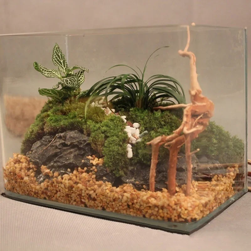 Doğal ağaç gövdesi Driftwood a - Aquarium Marine Rock incelemesi ve fiyatı