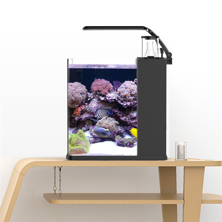 skynuo Ultra Şeffaf Cam Mini T - Aquarium Marine Clearwater incelemesi ve fiyatı