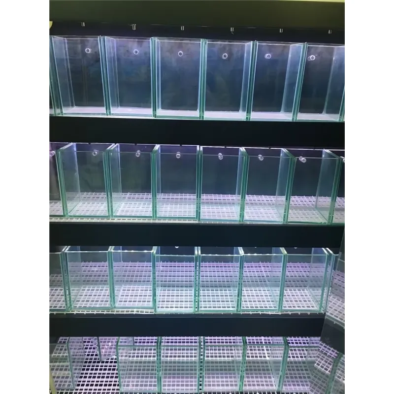 Ultra Şeffaf Cam Akvaryum Balı - Aquarium Marine Clearwater incelemesi ve fiyatı