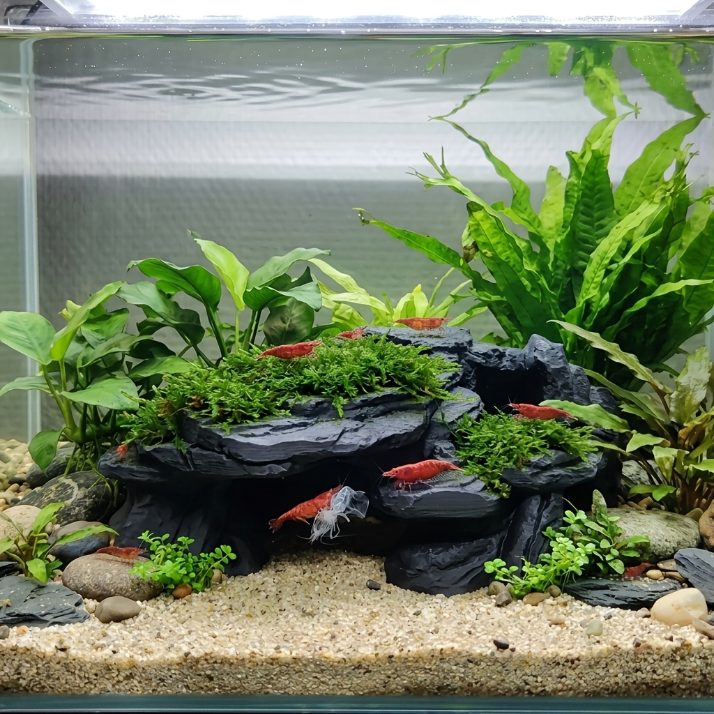 PLA Mağara Akvaryumu Gizli Bal - Aquarium Marine Rock incelemesi ve fiyatı