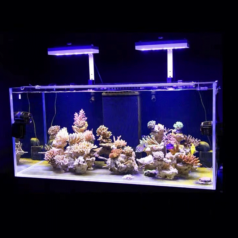 Aqua Illumination AI Hydra 32H - Aquarium Marine Fishes incelemesi ve fiyatı
