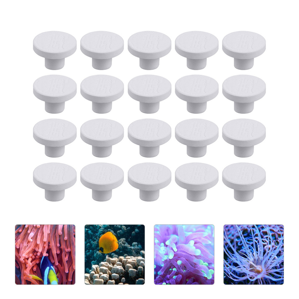 SPS Seramik Mercan Frag Plakal - Aquarium Marine Rock incelemesi ve fiyatı