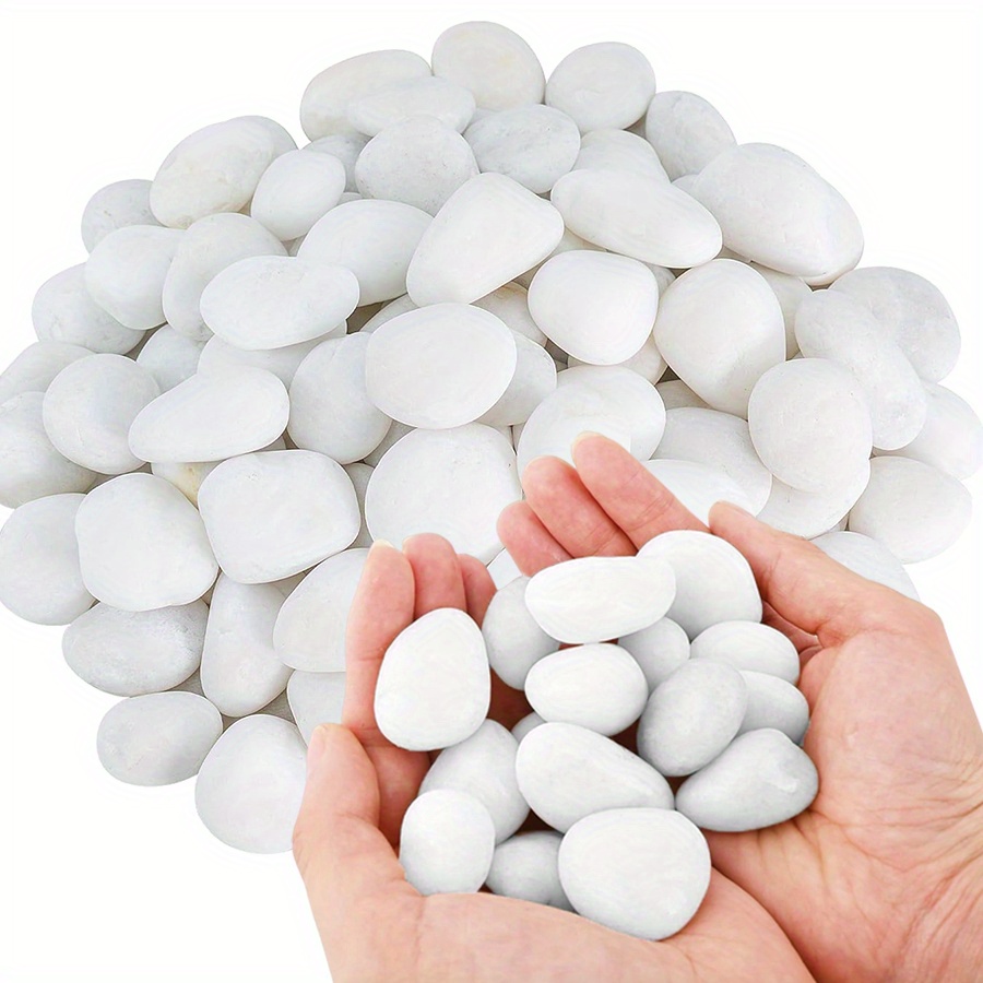 200/400g Beyaz Yüksek Parlaklı - Aquarium Marine Fish incelemesi ve fiyatı