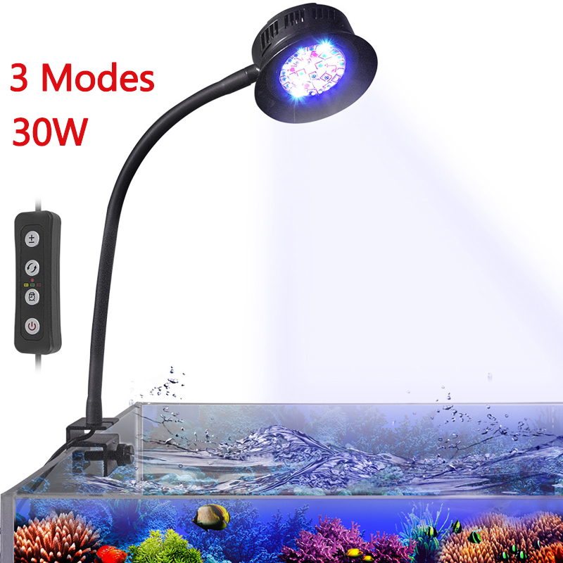 Akvaryum LED Mercan Lambası De - Marine Aquarium Water incelemesi ve fiyatı