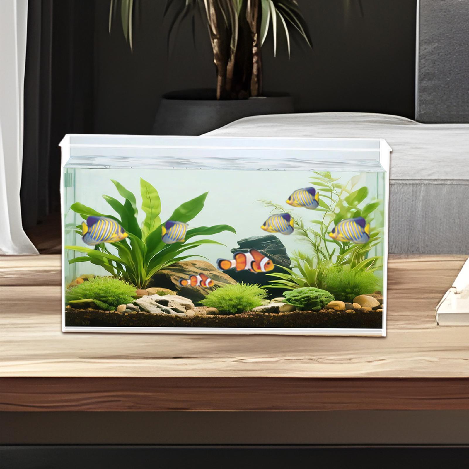Küçük Balık Tankı Betta Tankı  - Marine Aquarium Kit incelemesi ve fiyatı