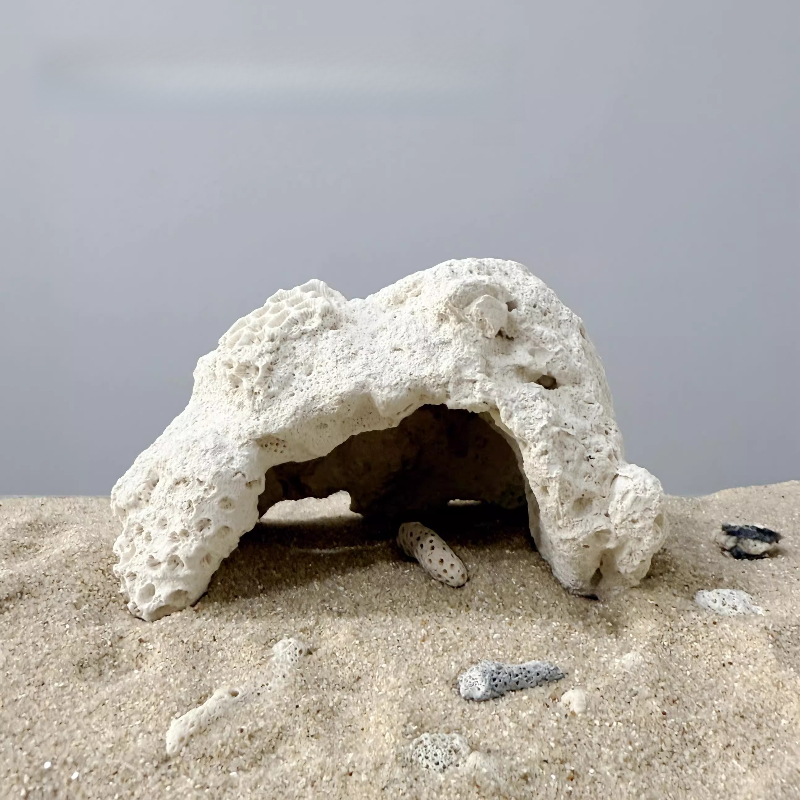 Balık Tankı Karakter Şeklinde  - Aquarium Marine Rock incelemesi ve fiyatı