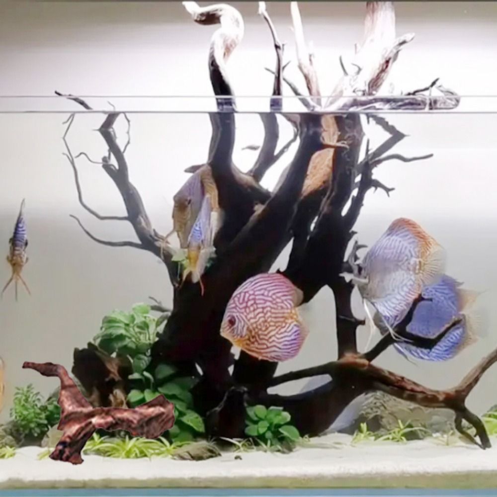 Yaratıcı Düzensiz Şekilli Merc - Aquarium Marine Rock incelemesi ve fiyatı