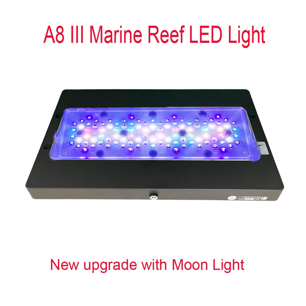 A8 III Moon Light Güçlü Deniz  - Aquarium Marine Fishes incelemesi ve fiyatı