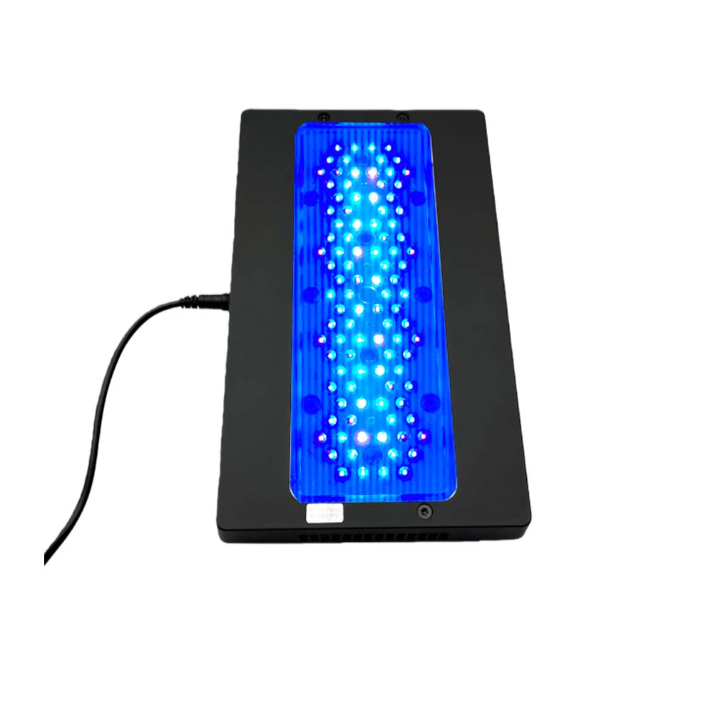 A8 III Moon Light Güçlü Deniz  - Aquarium Marine Fishes incelemesi ve fiyatı