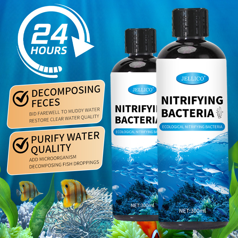 300ml Nitrifikasyon Bakteriler - Aquarium Marine Clearwater incelemesi ve fiyatı