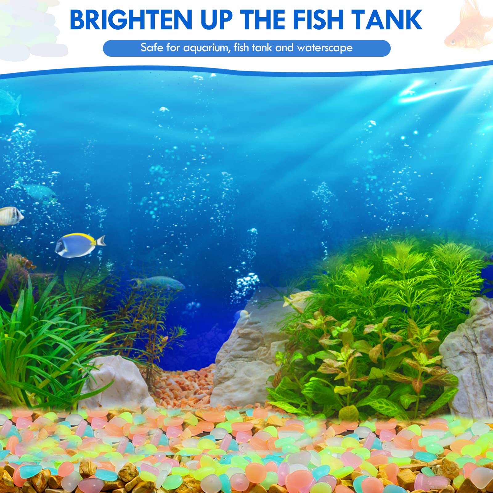 100 Adet Karanlıkta Glow Bahçe - Aquarium Marine Fish incelemesi ve fiyatı