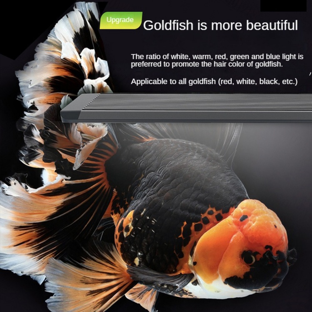 Optik Lensli Akvaryum Işığı LE - Aquarium Marine Clearwater incelemesi ve fiyatı