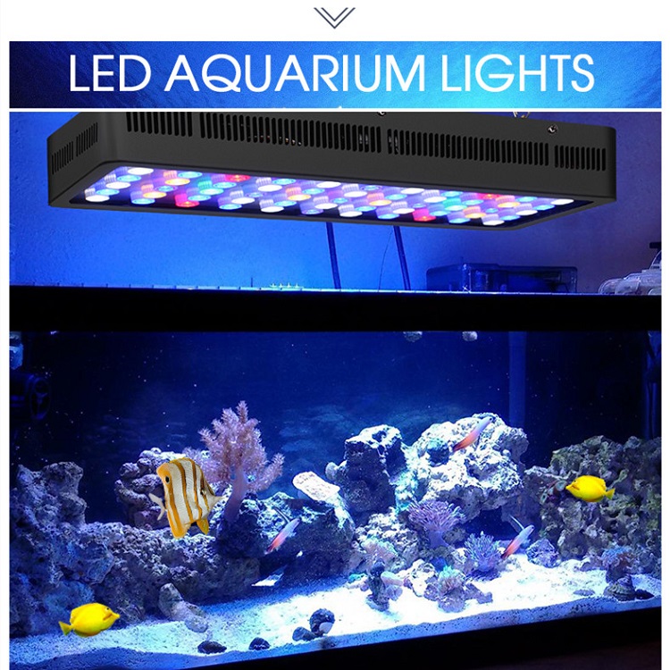 BT Kablosuz Kontrol DIY Spektr - Marine Aquarium Price incelemesi ve fiyatı