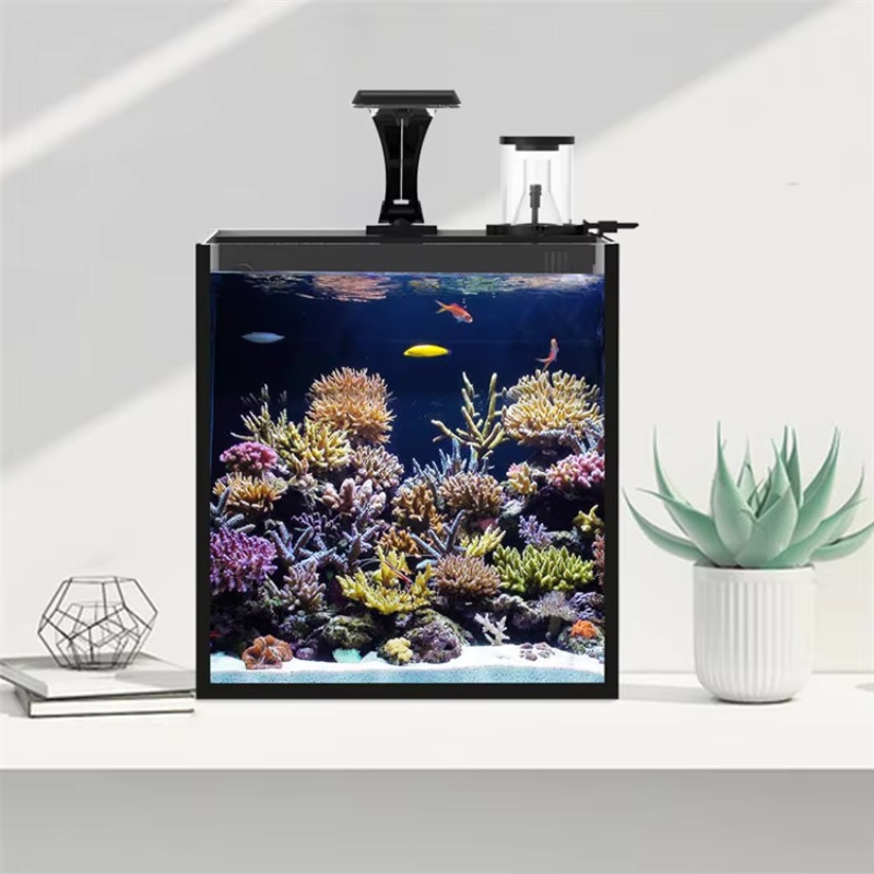 Kavisli Tuzlu Su Deniz Balığı  - Marine Aquarium Kit incelemesi ve fiyatı