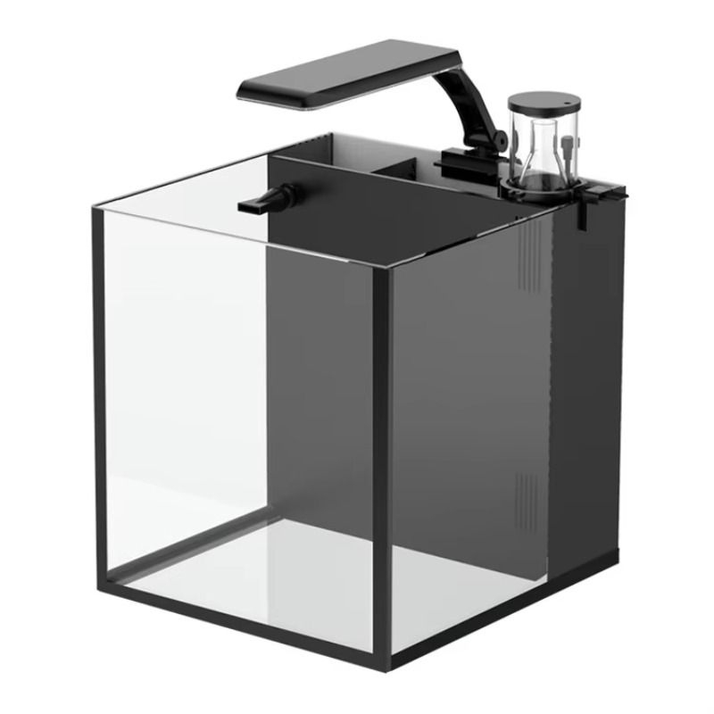 Kavisli Tuzlu Su Deniz Balığı  - Marine Aquarium Kit incelemesi ve fiyatı